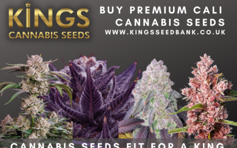 Buy cannabis seeds halifax